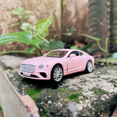 Z2968083220790 E0896ce5d55b39cab1a67f9a095af3a8